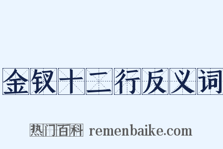 金钗十二行反义词是什么意思的图片